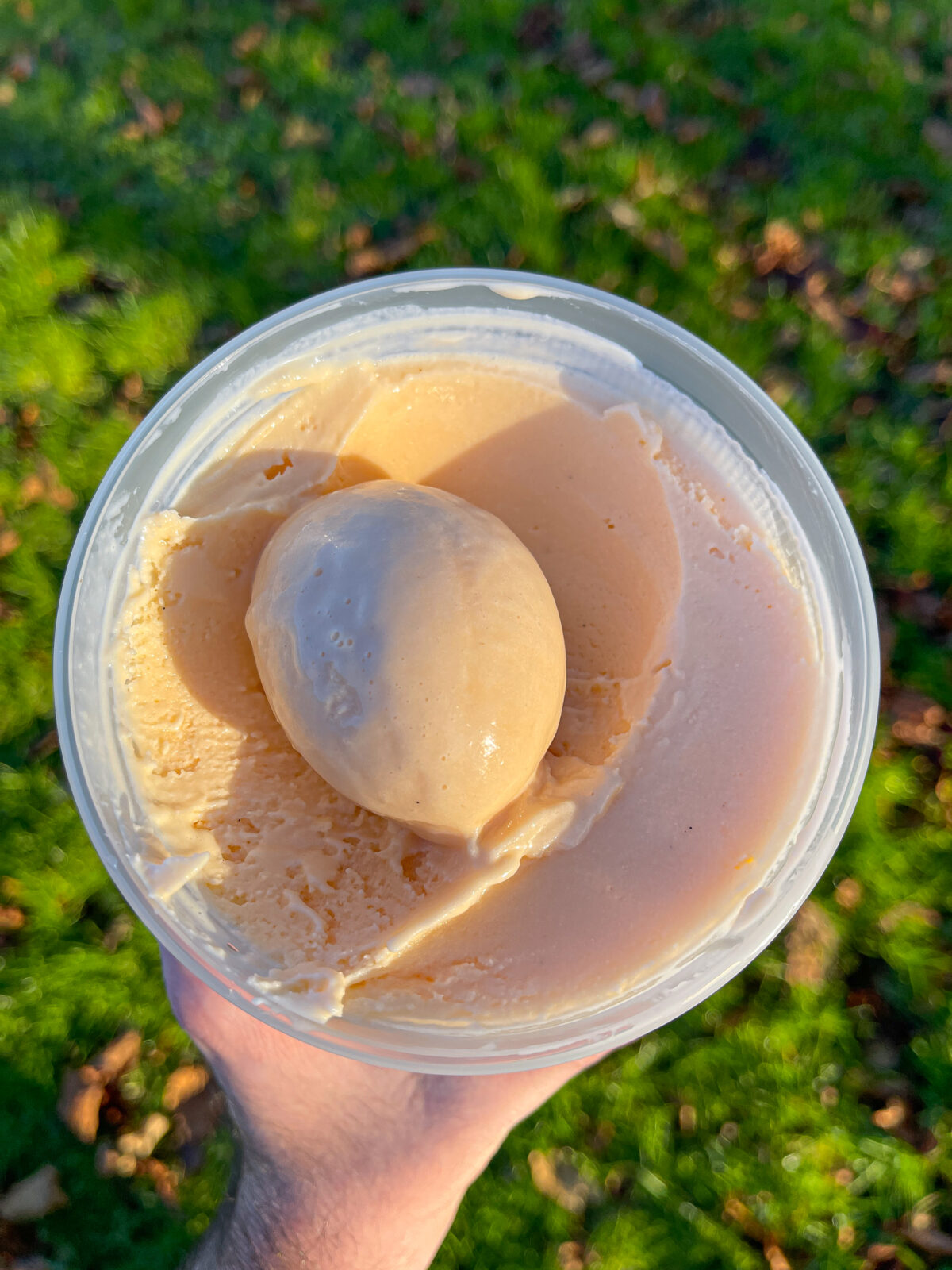scoop of homemade ice cream