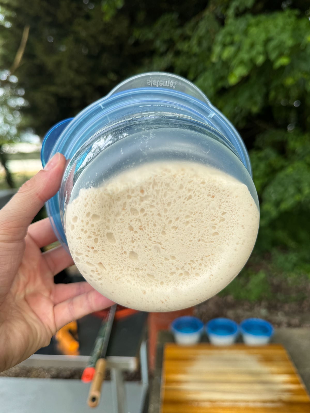2 day cold fermented pizza dough