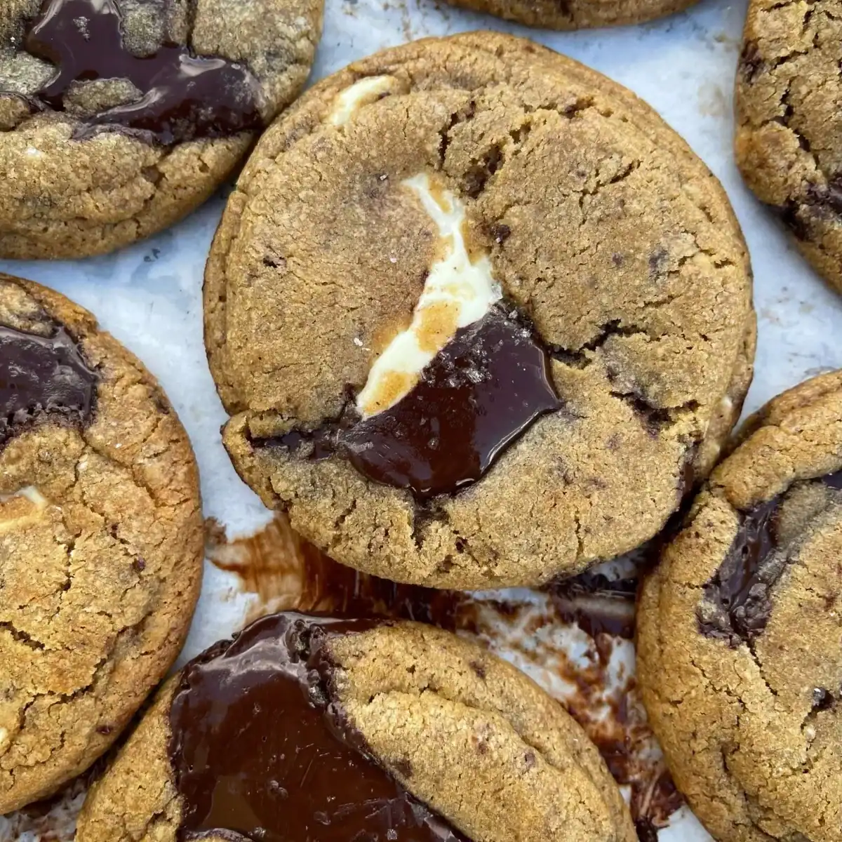 toasted milk cookies