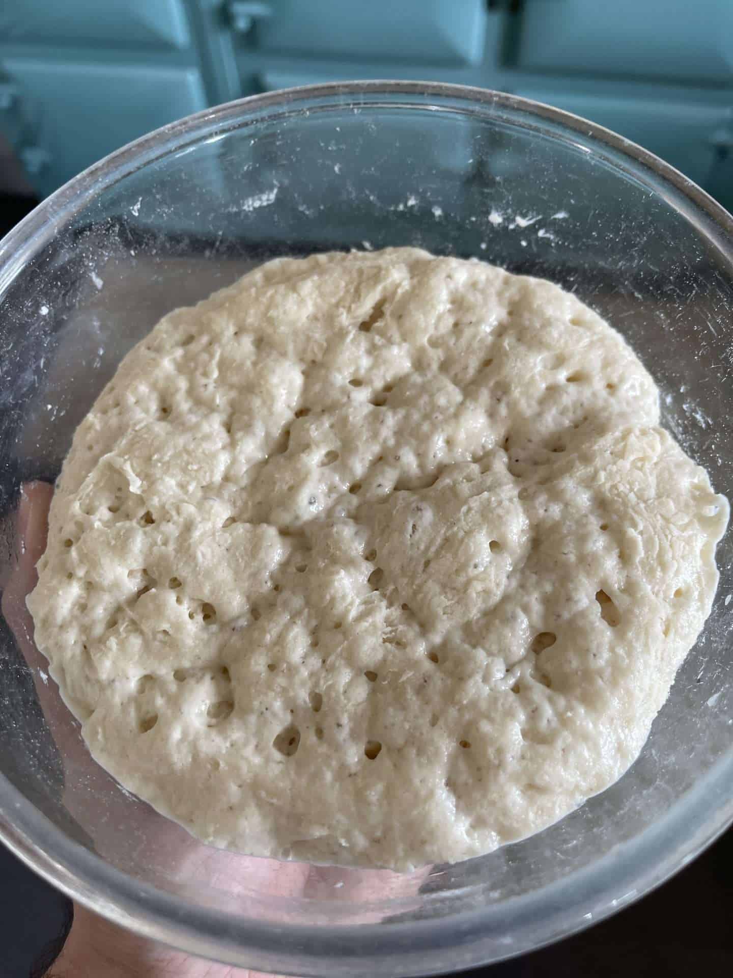 biga pre ferment