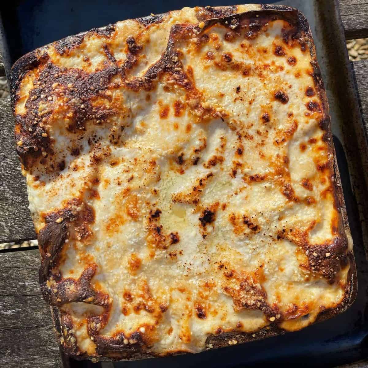 lasagna