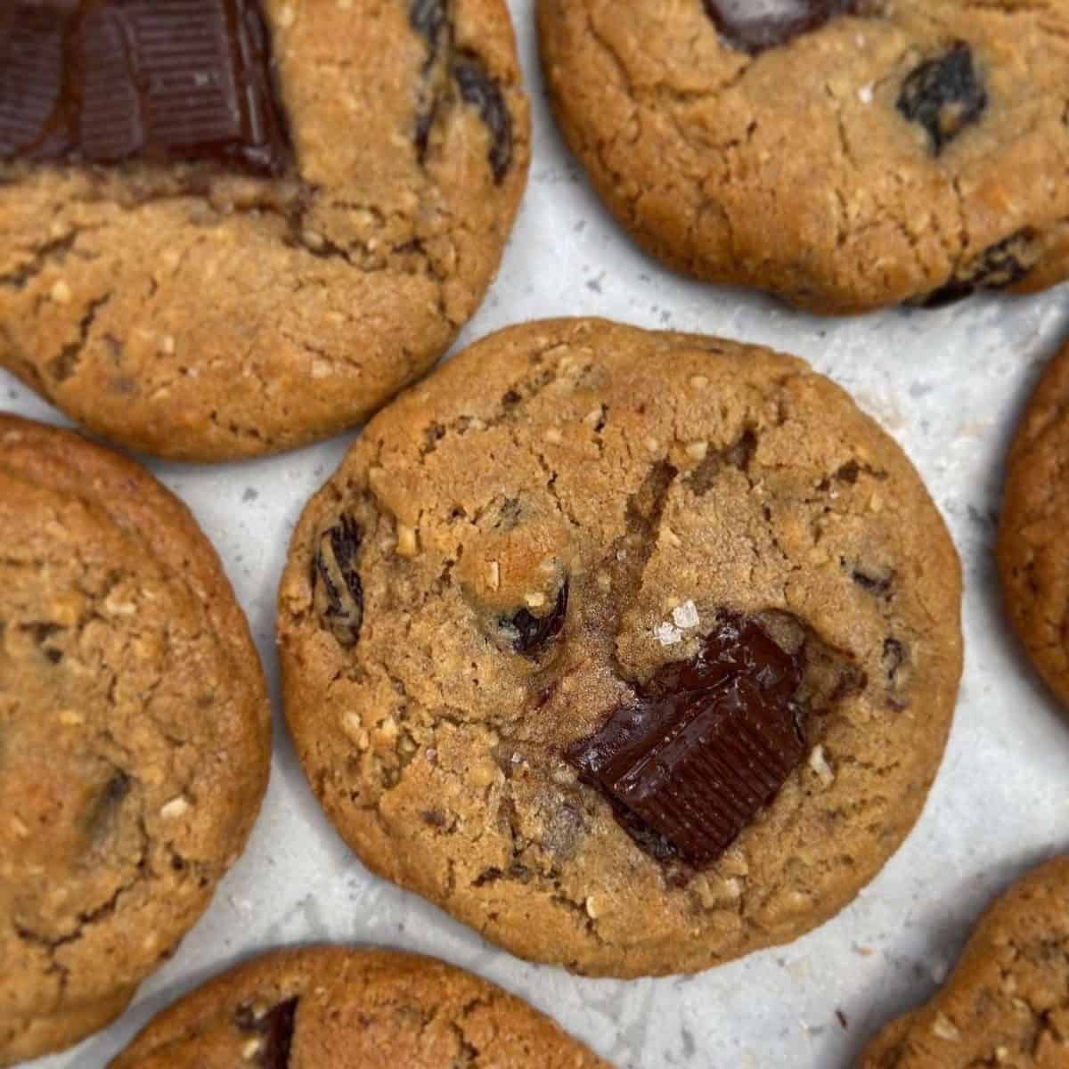 oatmeal chocolate raisin cookies toasted milk