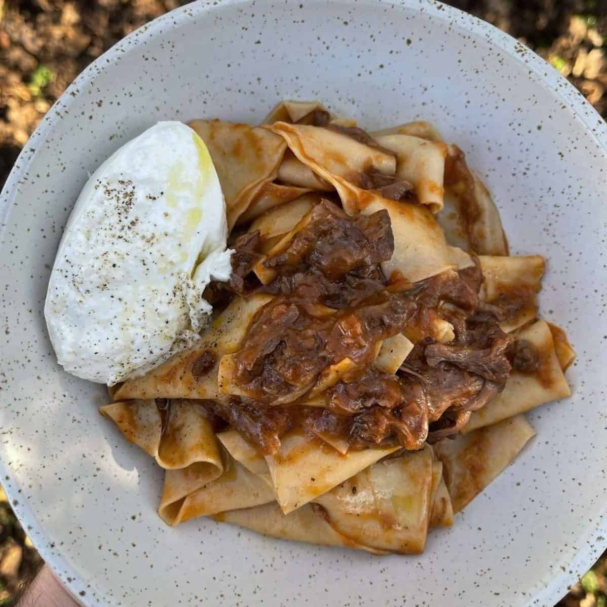 oxtail ragu burrata