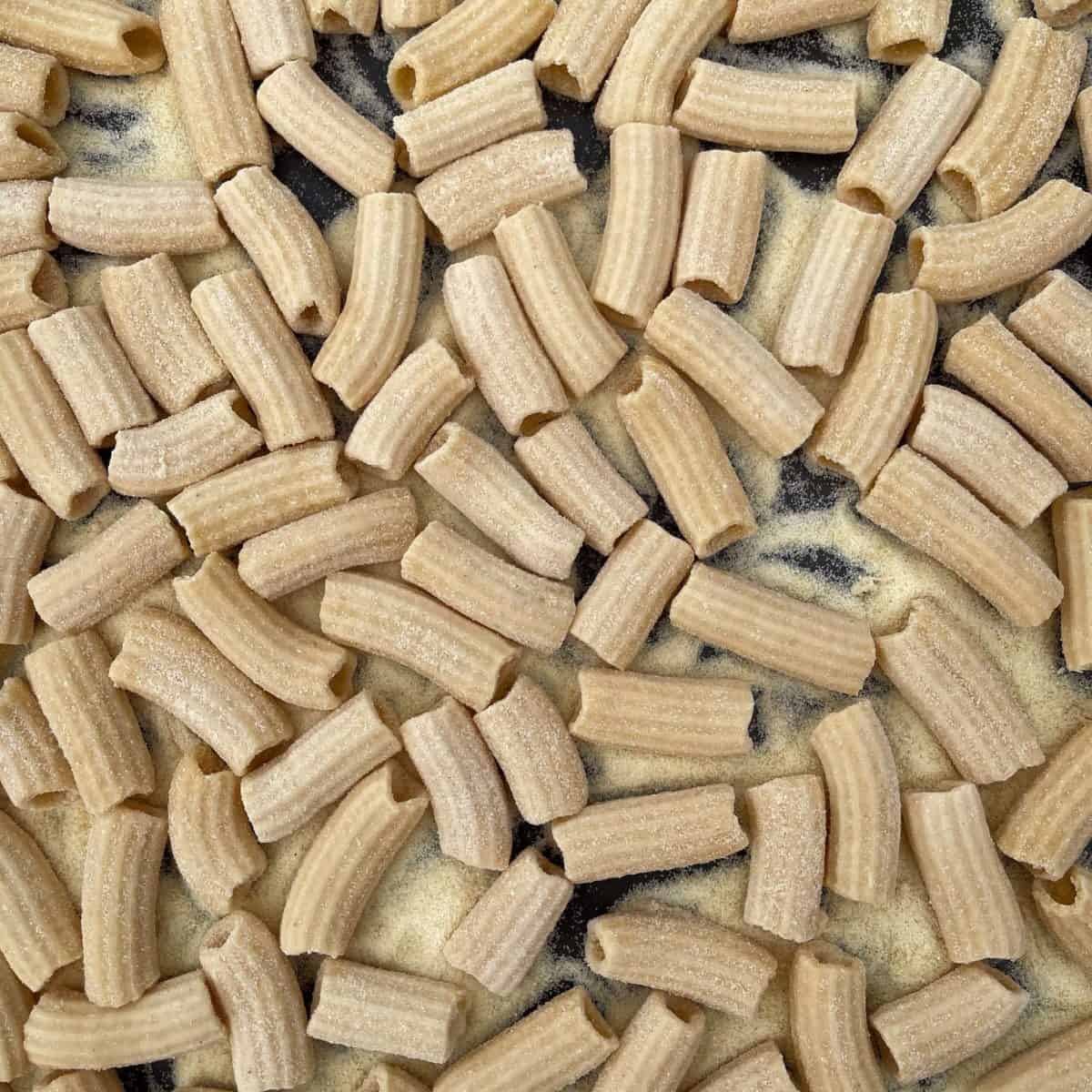 rigatoni pasta