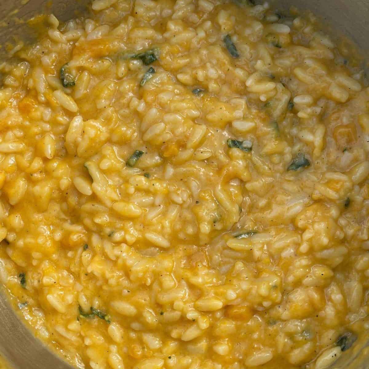 cheesy butternut orzo