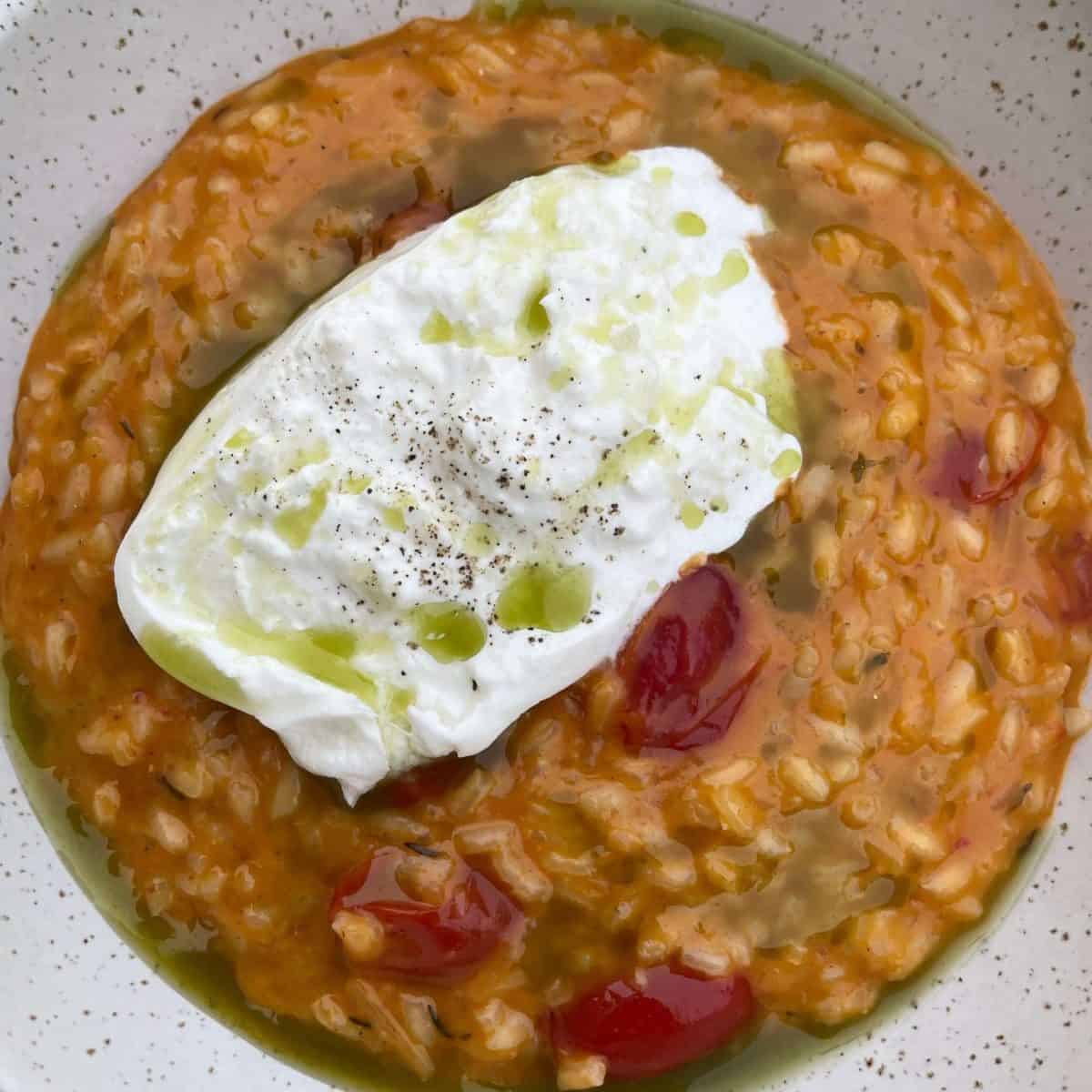roasted tomato risotto burrata
