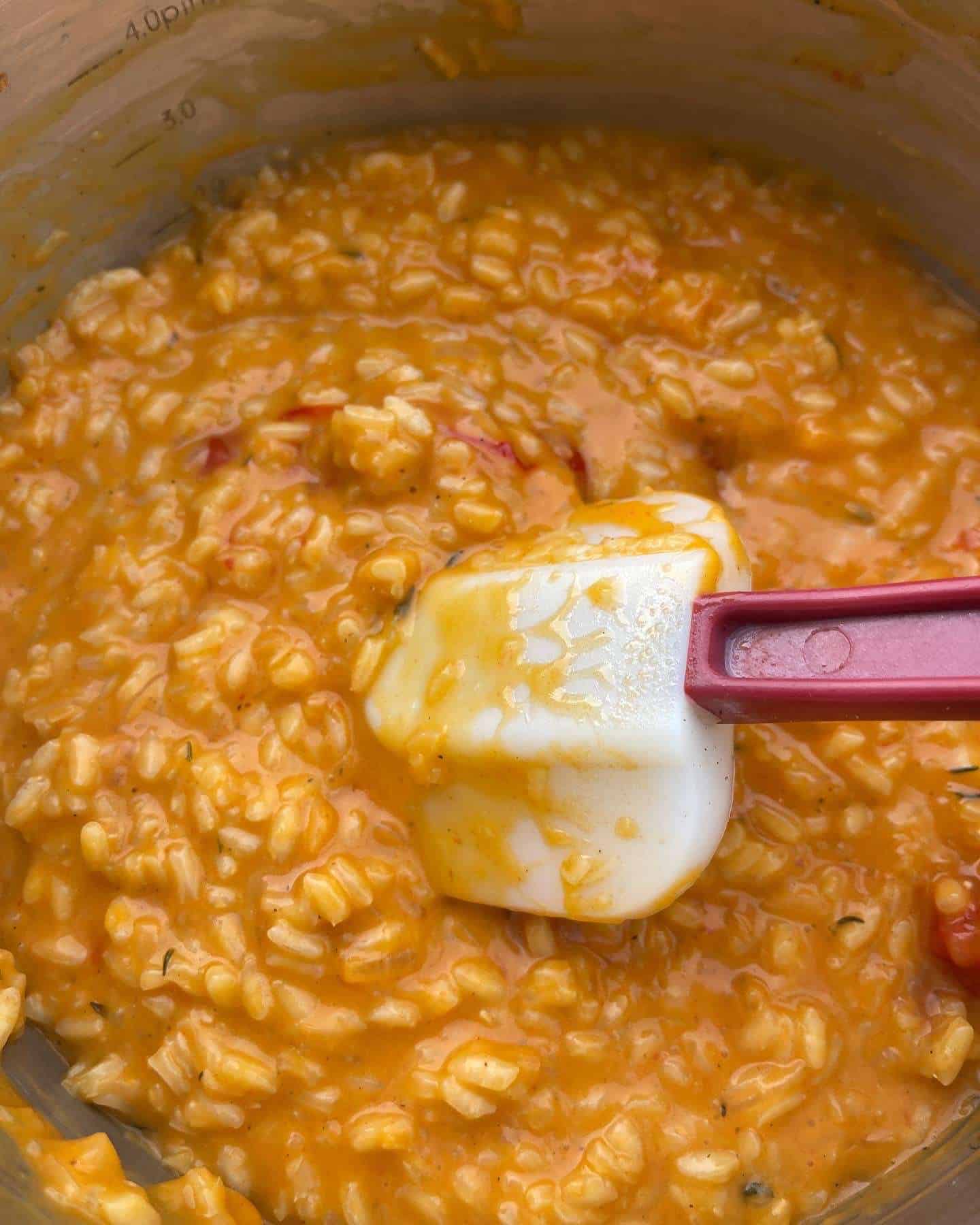 tomato risotto