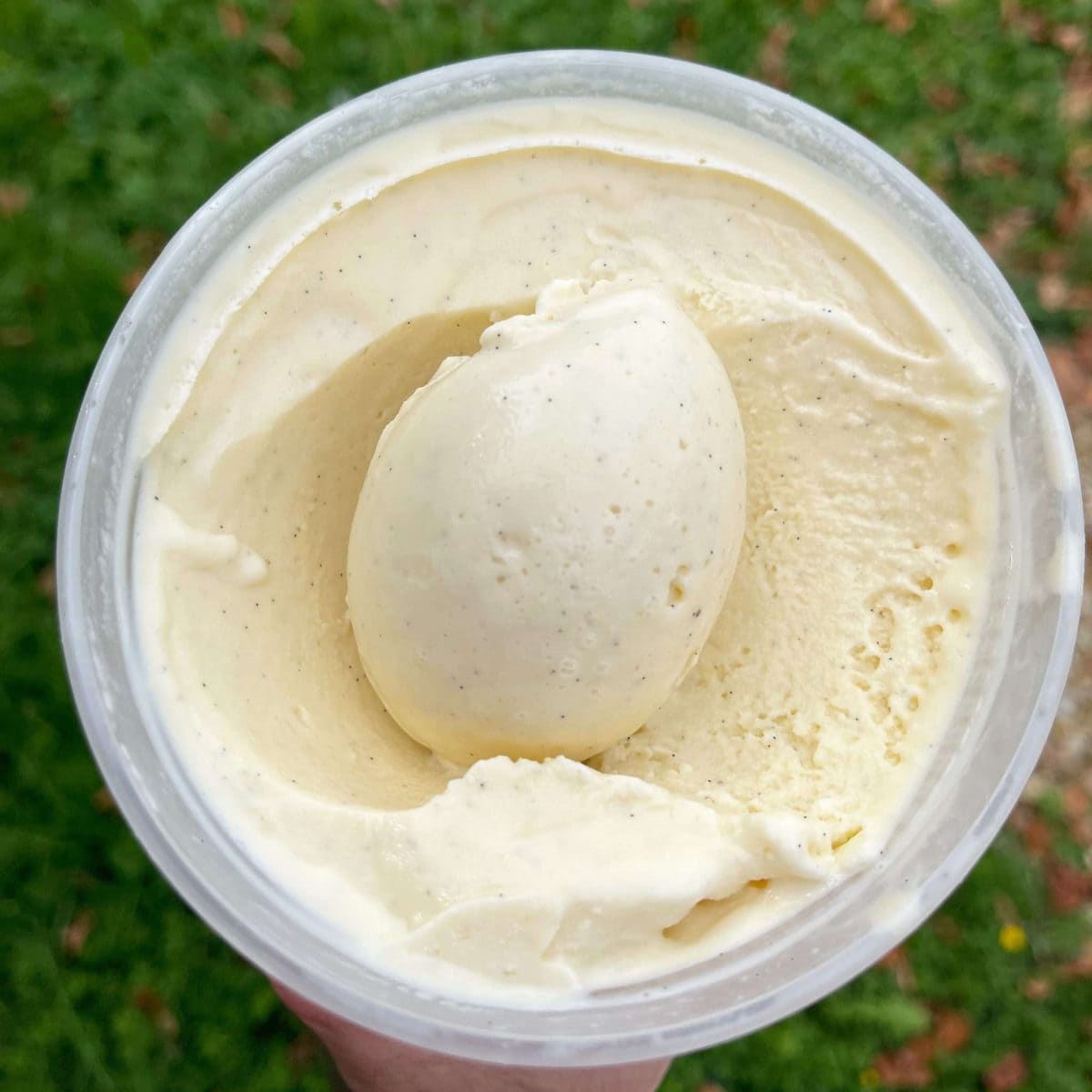 vanilla ice cream scoop