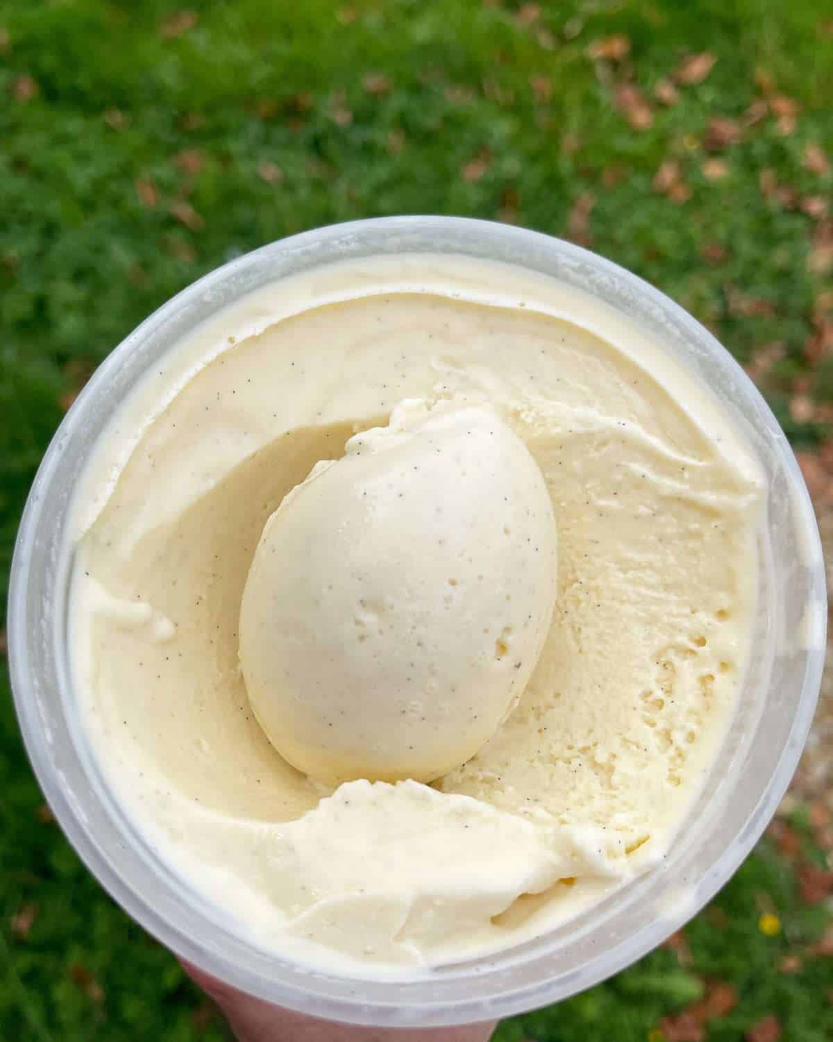 homemade vanilla ice cream