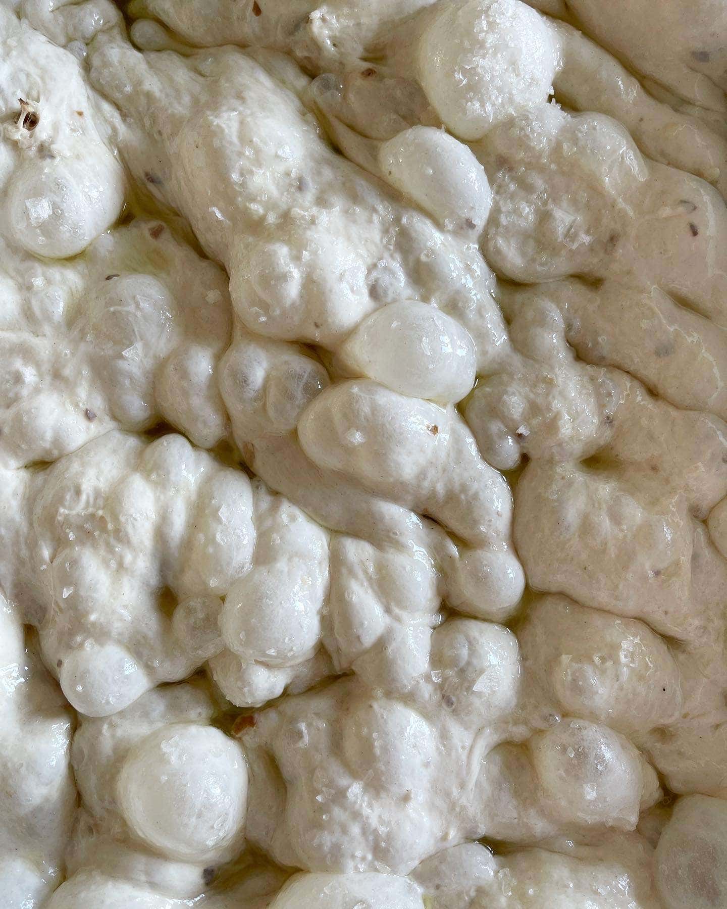 bubbly focaccia dough
