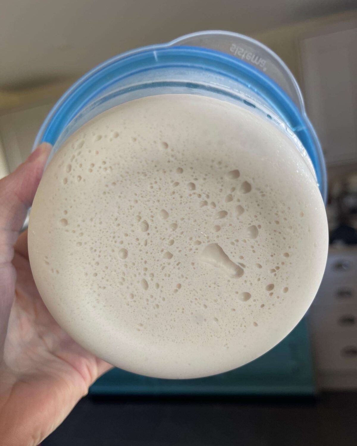fermented pizza dough air bubbles