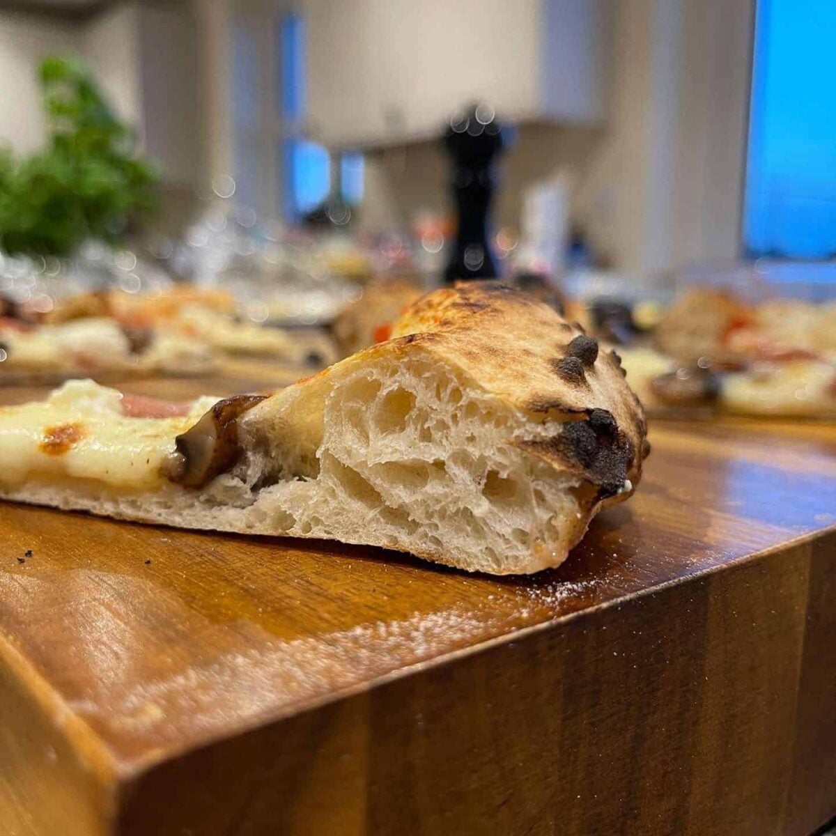 poolish pizza dough open crumb crust