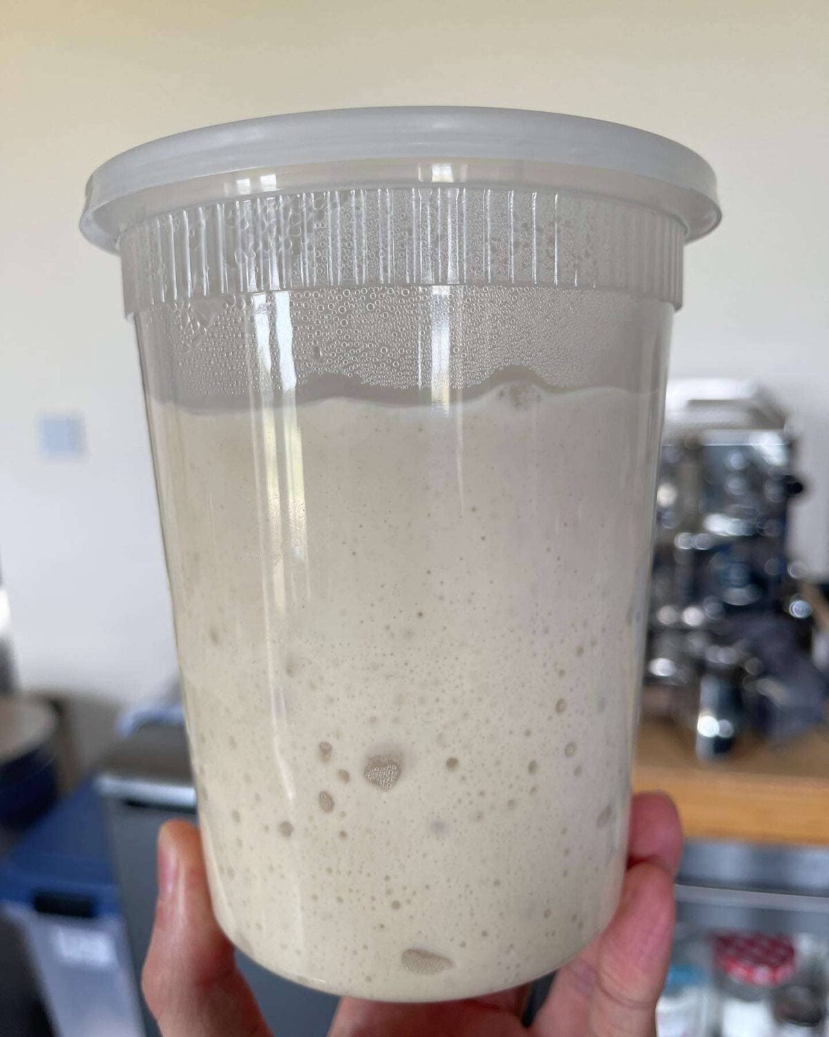 poolish after overnight fermentation