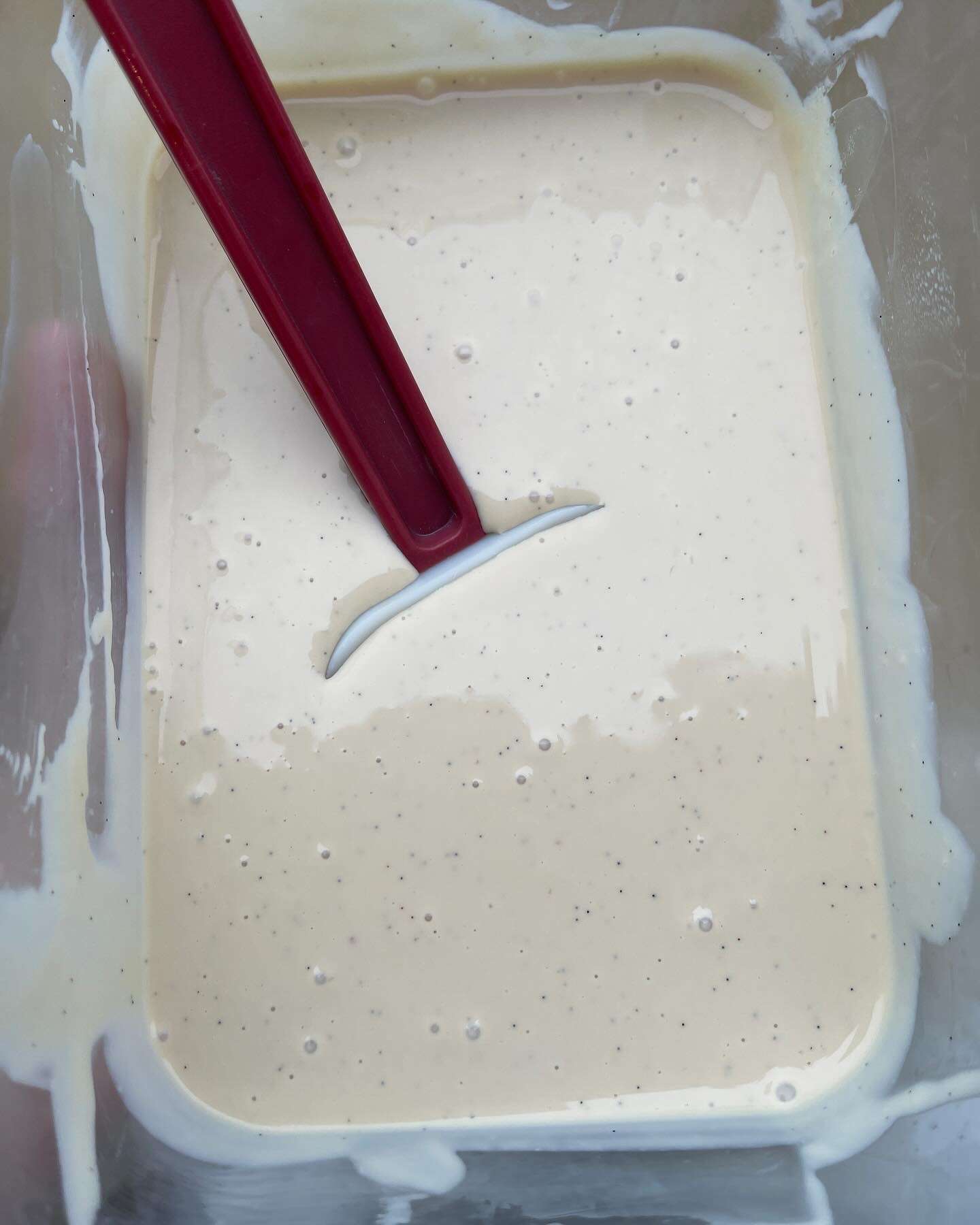 baileys custard