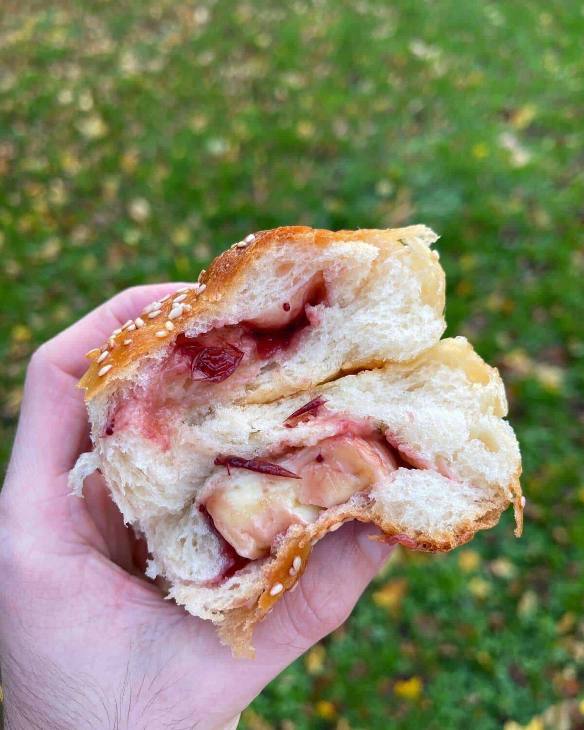 brie & cranberry sauce stuffed dinner roll