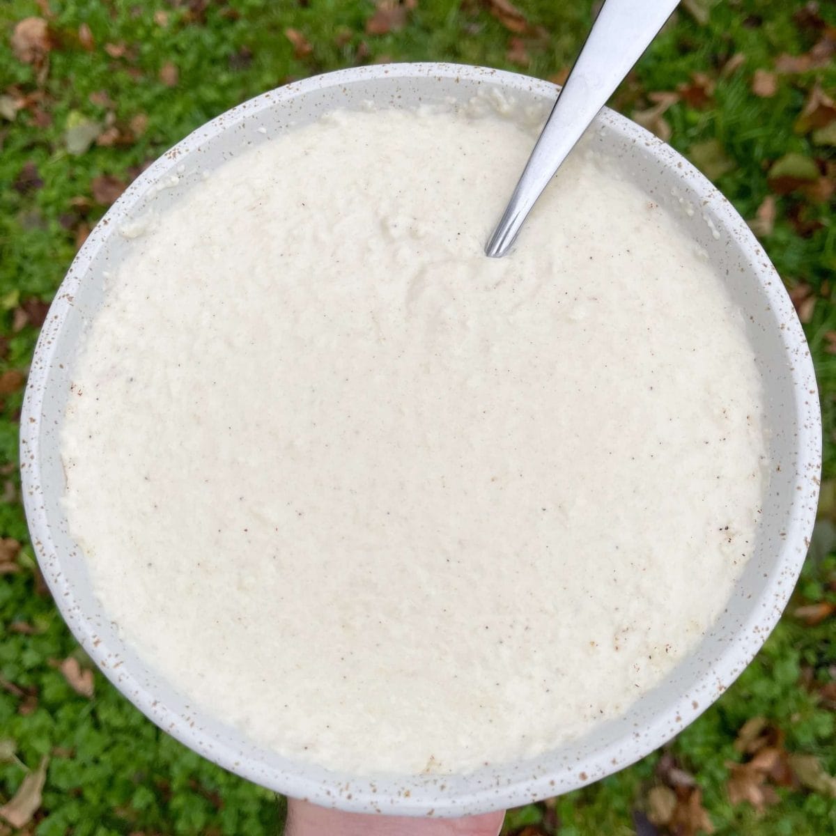 classic bread sauce