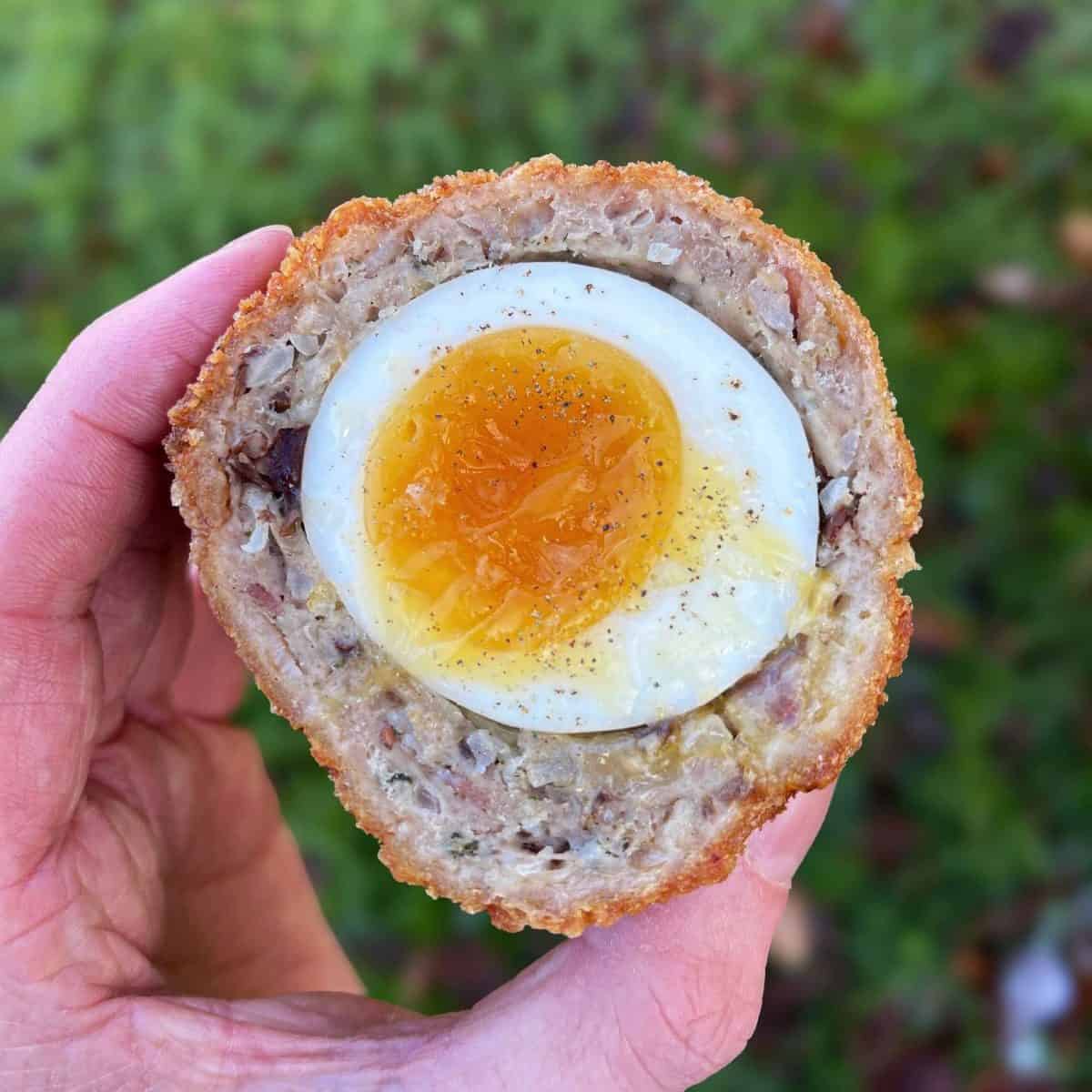 turkey stuffing scotch eggs