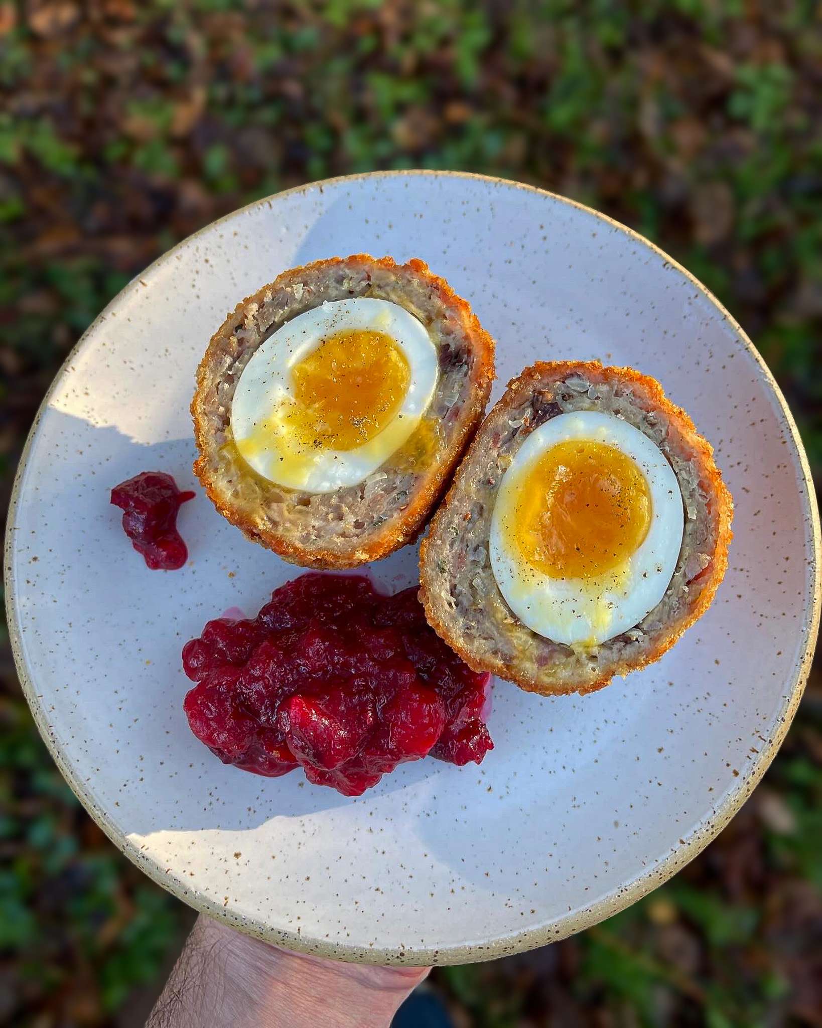 turkey stuffing scotch egg on a plate
