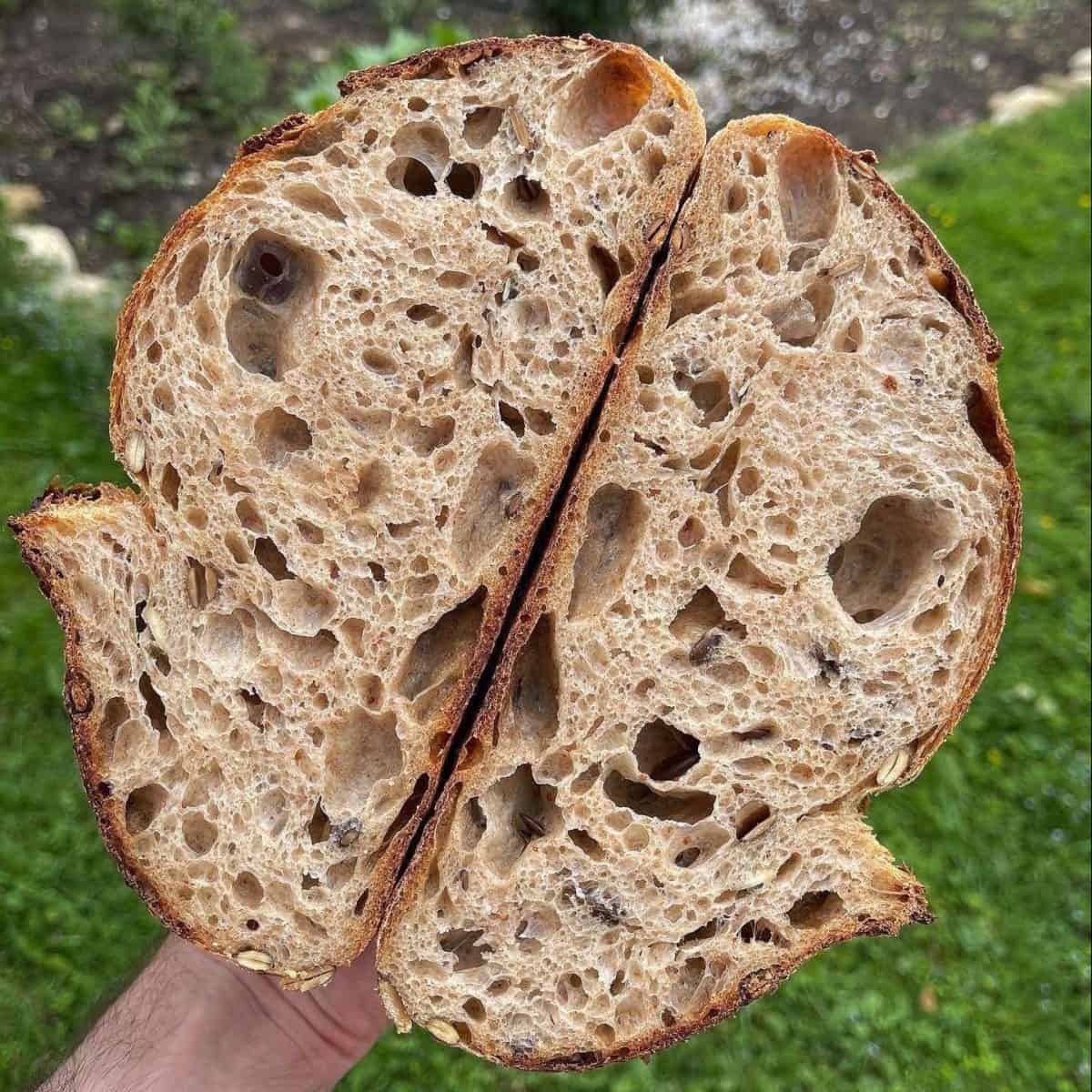 pumpkin sourdough