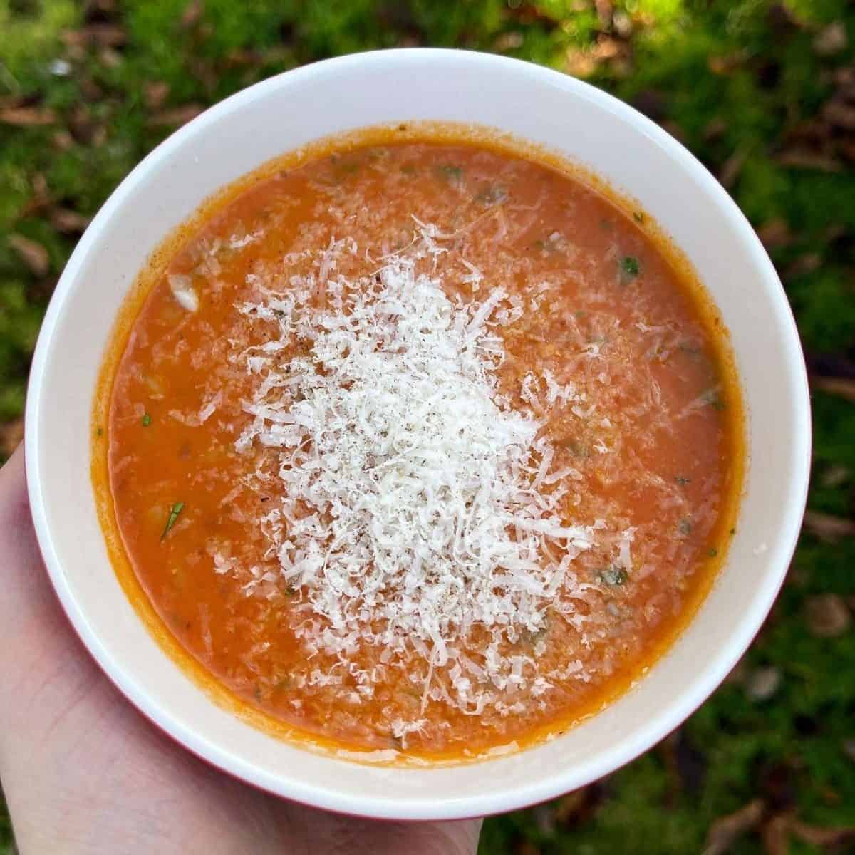 caramelised tomato & orzo soup