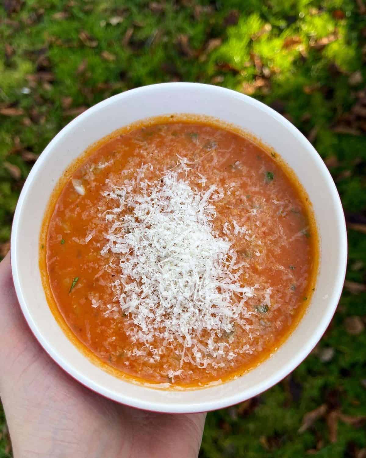 caramelised tomato & orzo soup
