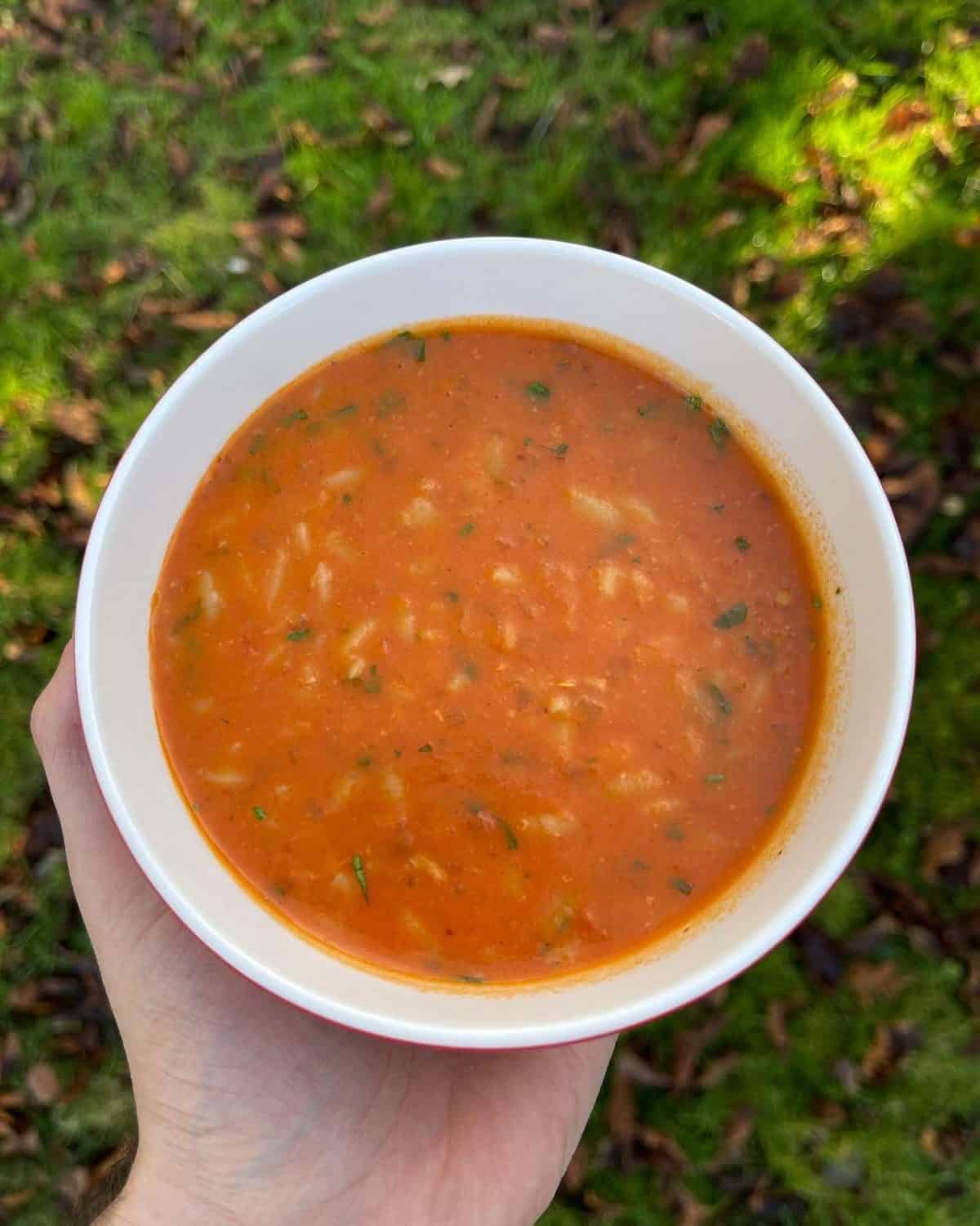 orzo tomato soup