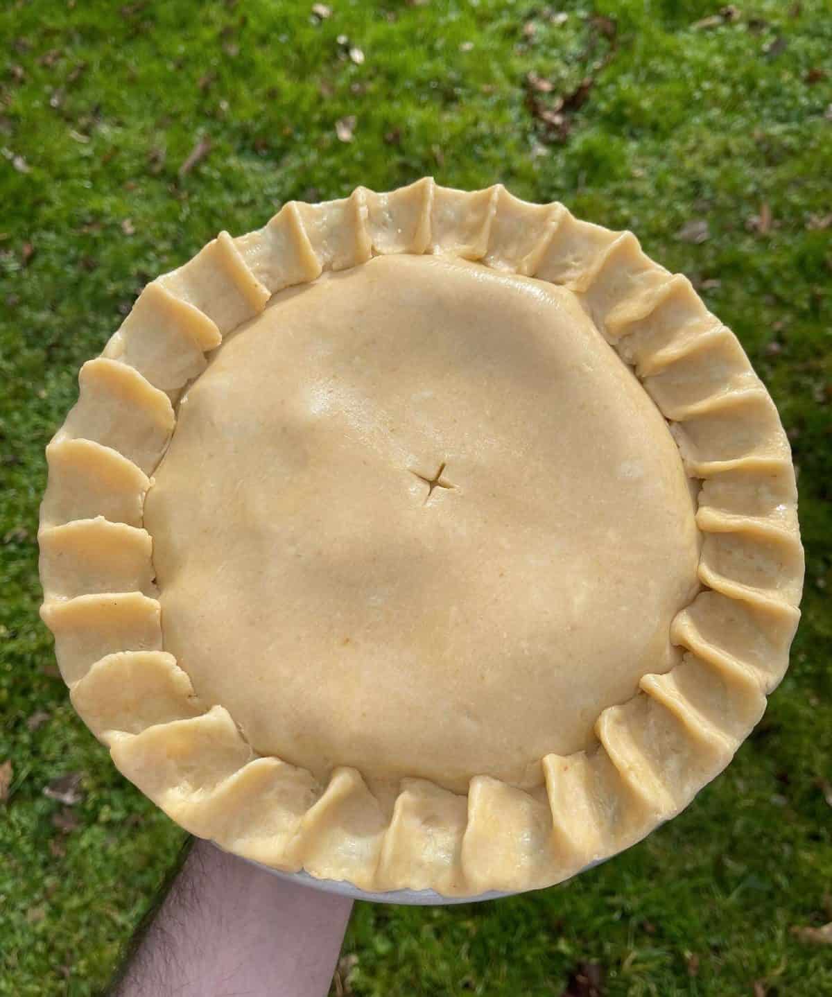 savoury double pie crust