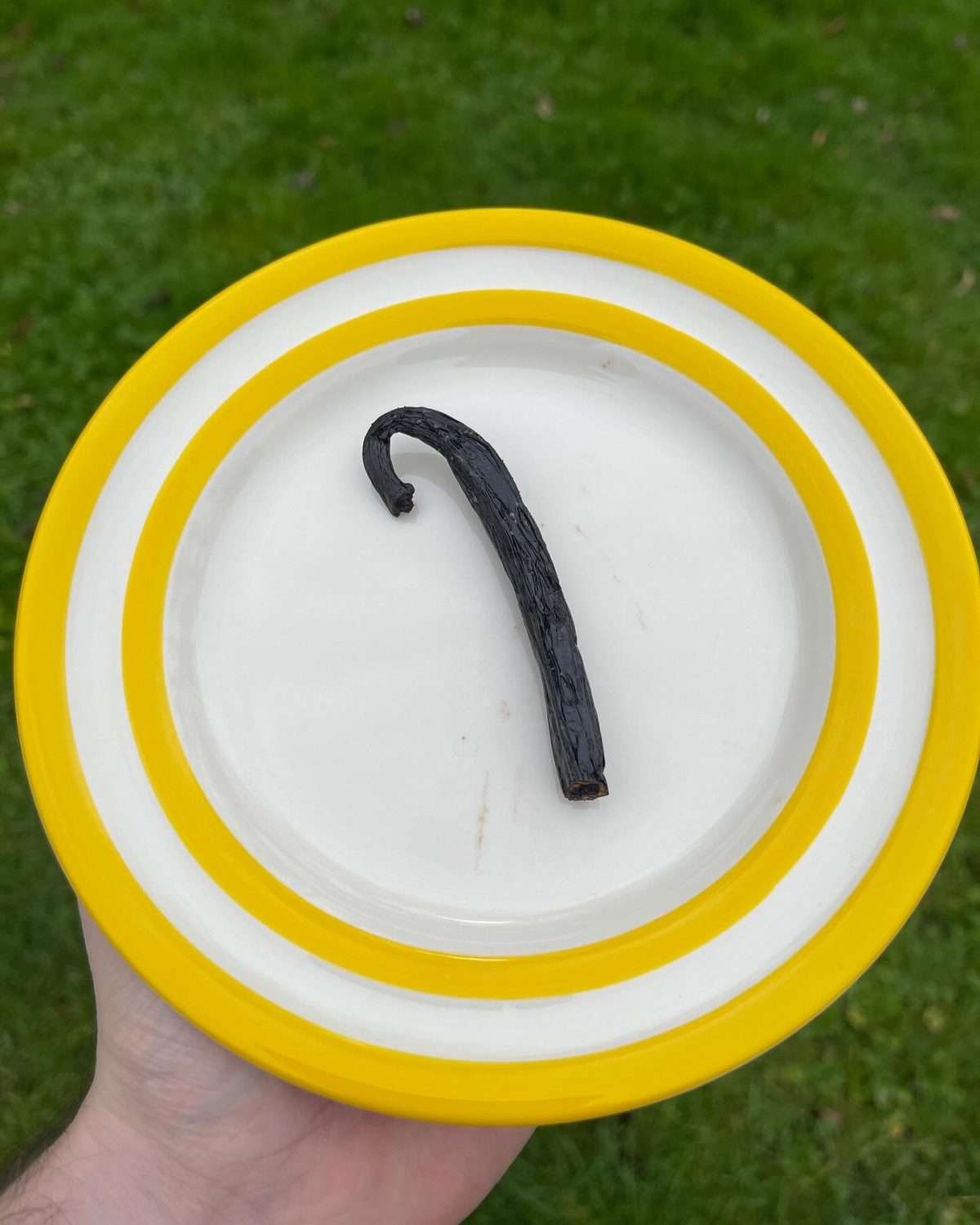 charred vanilla bean