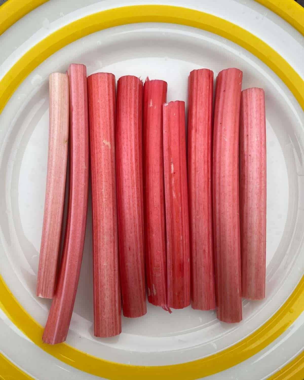 forced rhubarb