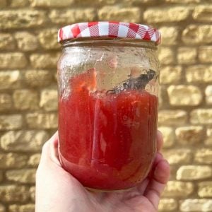 forced rhubarb vanilla bean jam