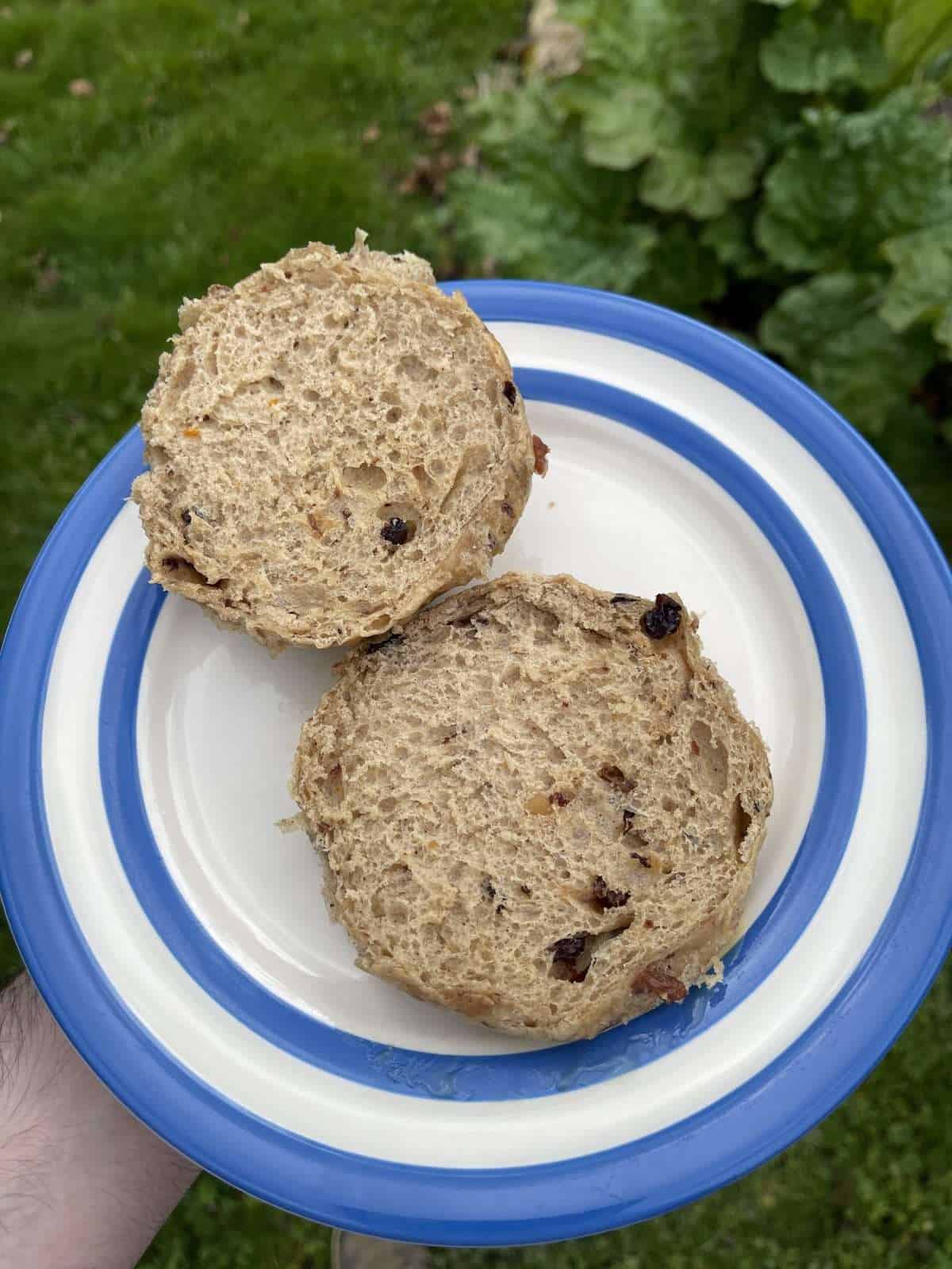 hot cross bun crumb