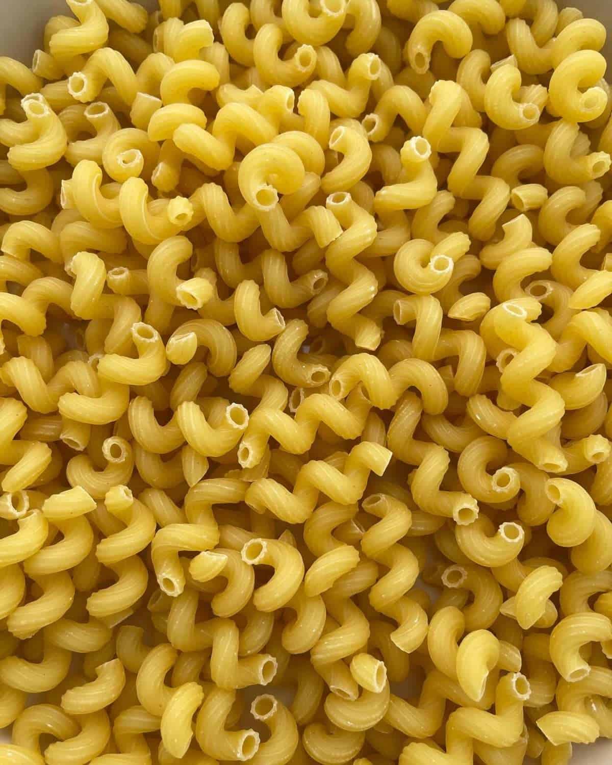 macaroni pasta