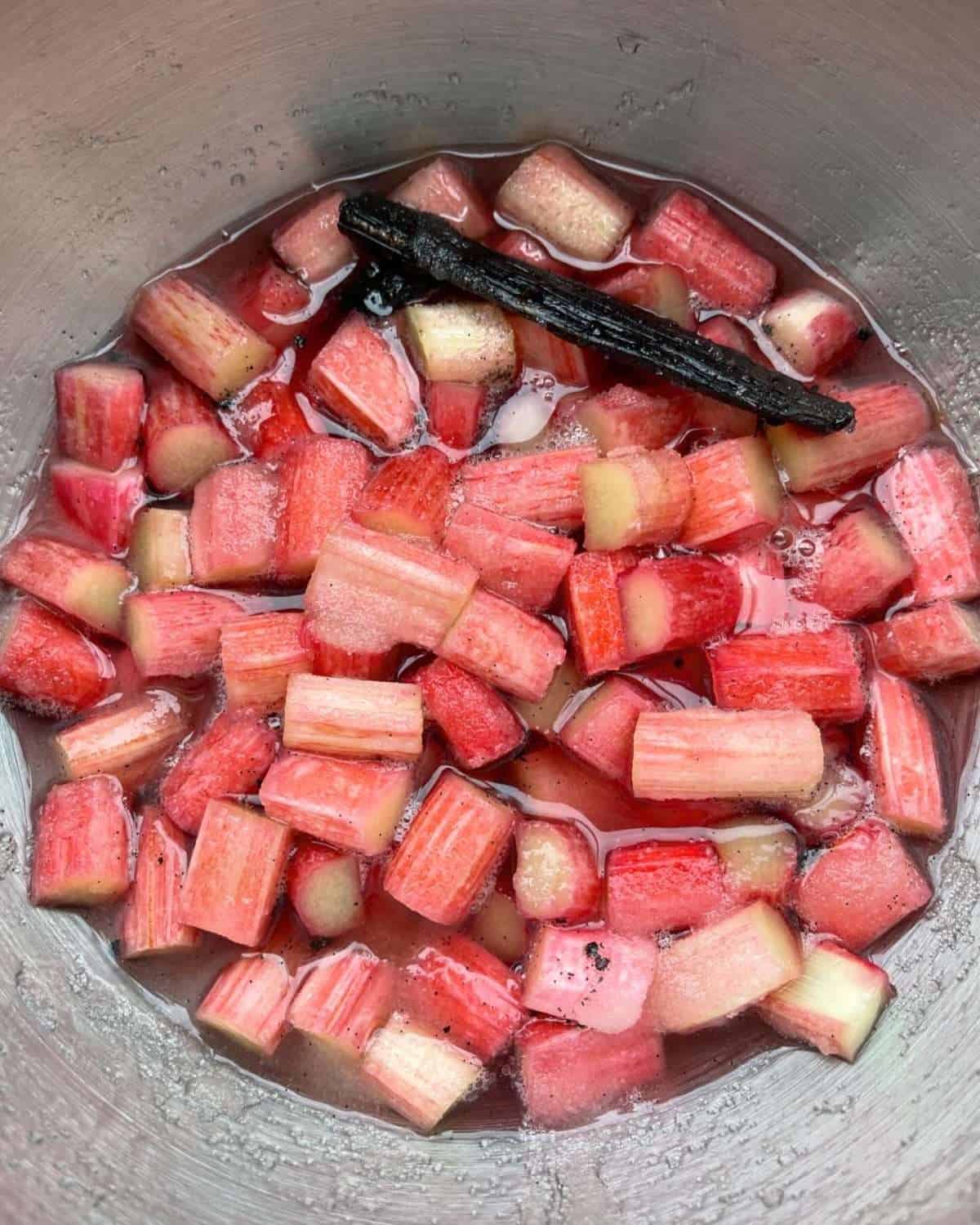 macerated rhubarb