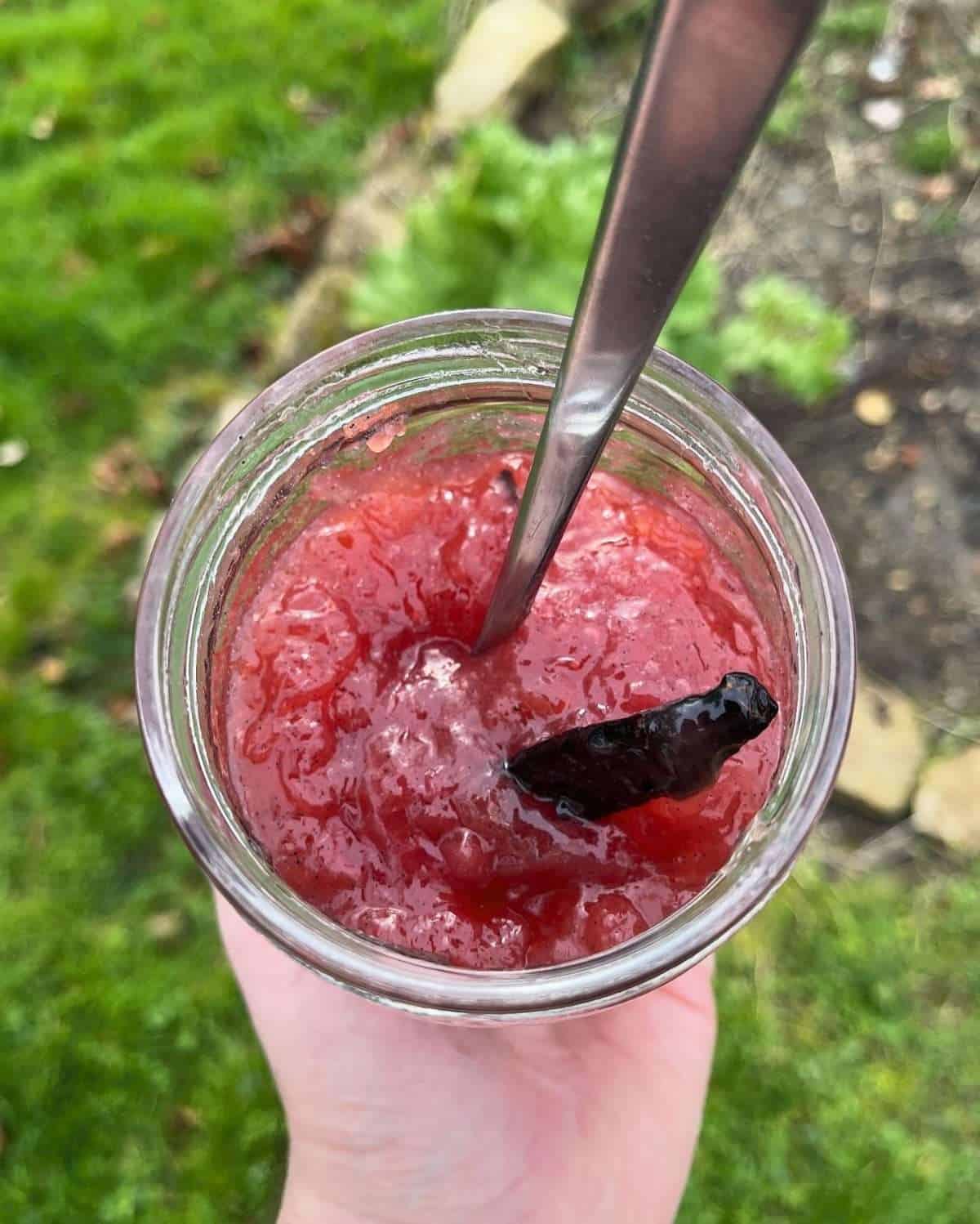 rhubarb jam