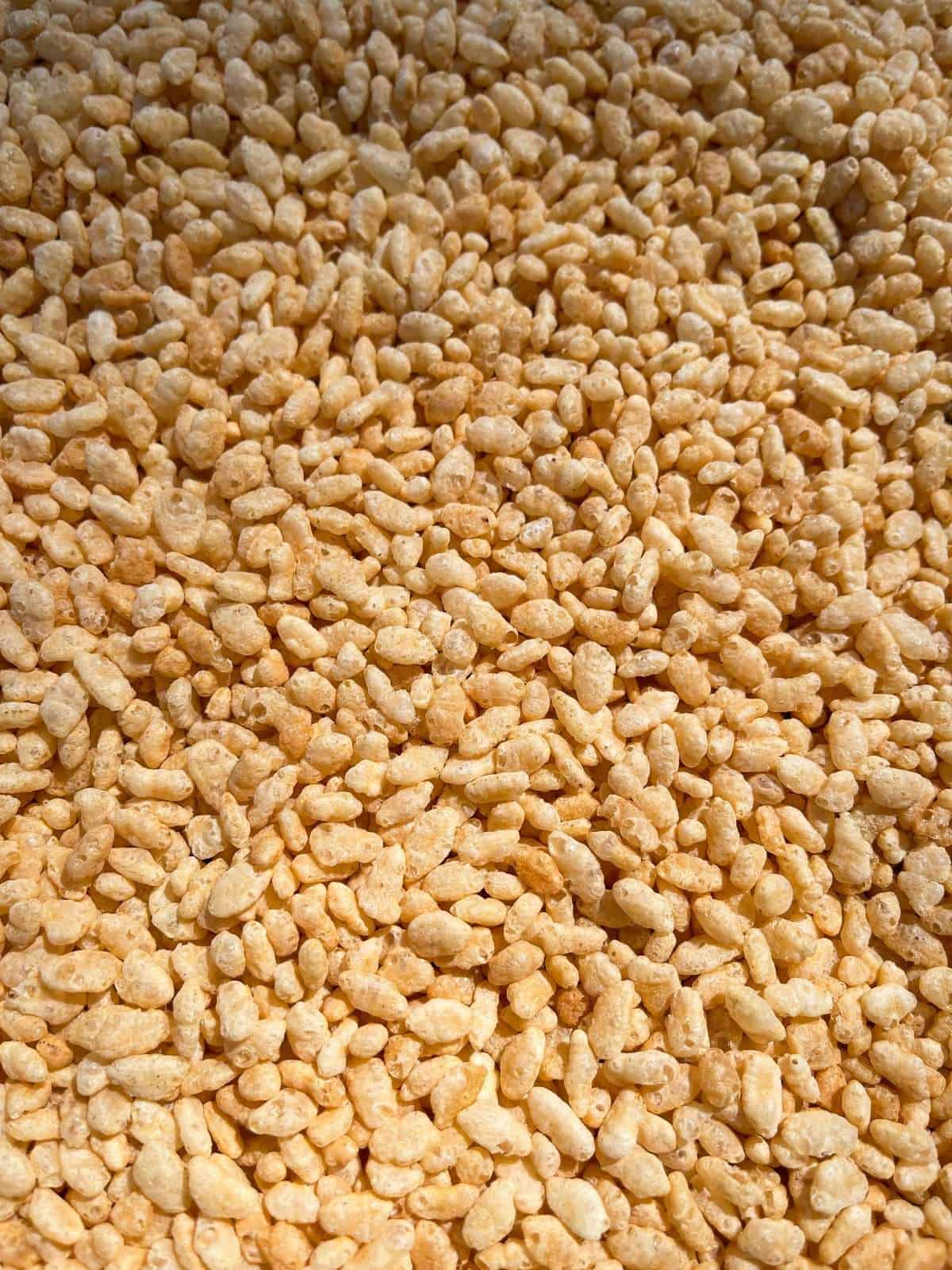 toasted rice krispies