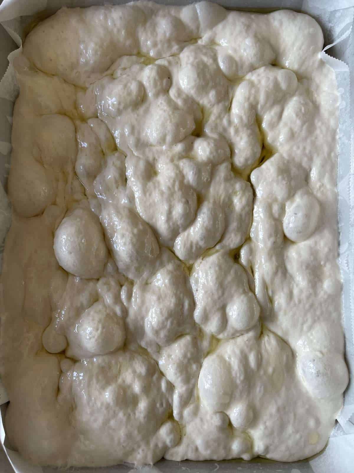 dimpled focaccia dough