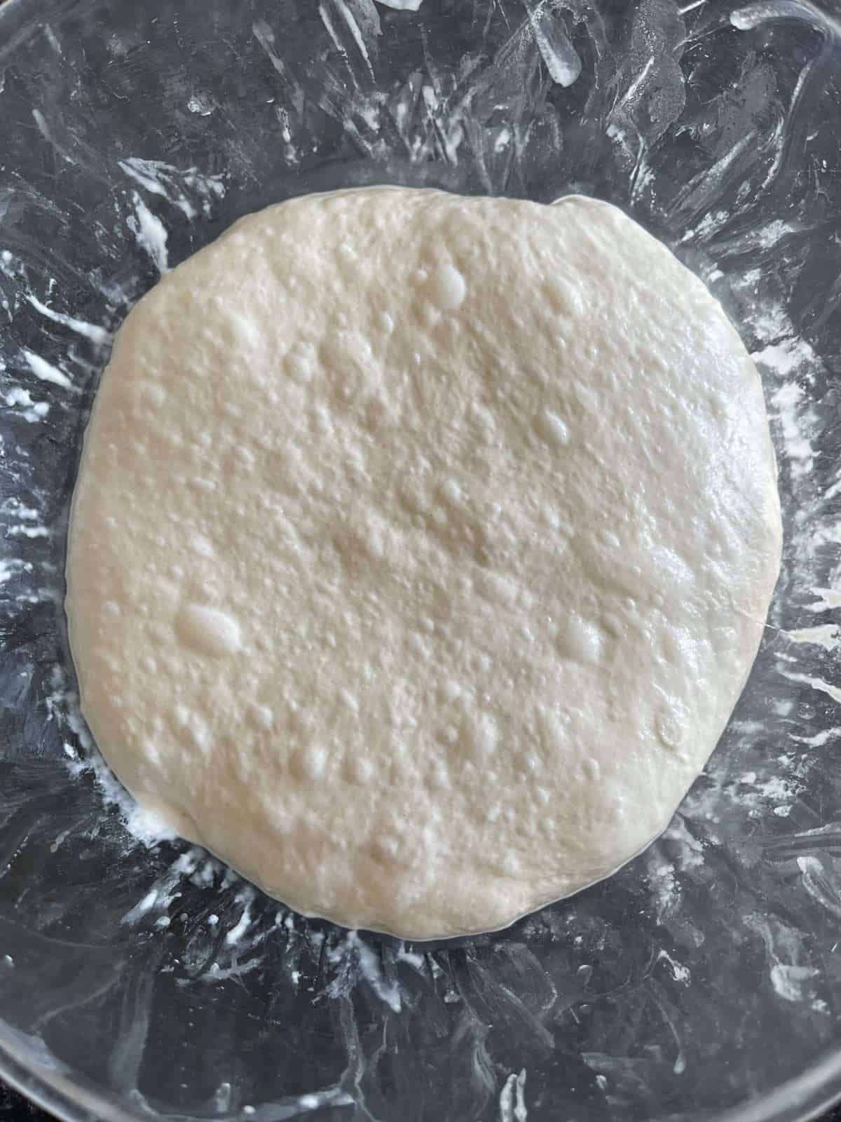 first rise/prove