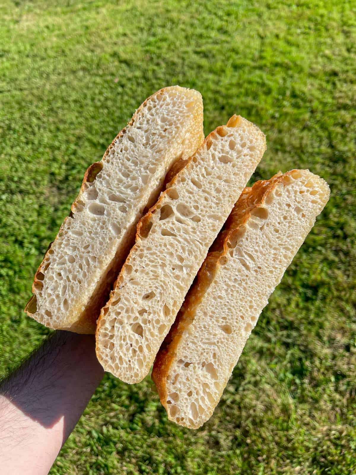 focaccia crumb