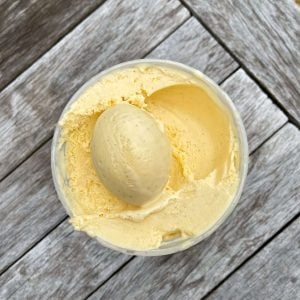 mango & coconut ice cream