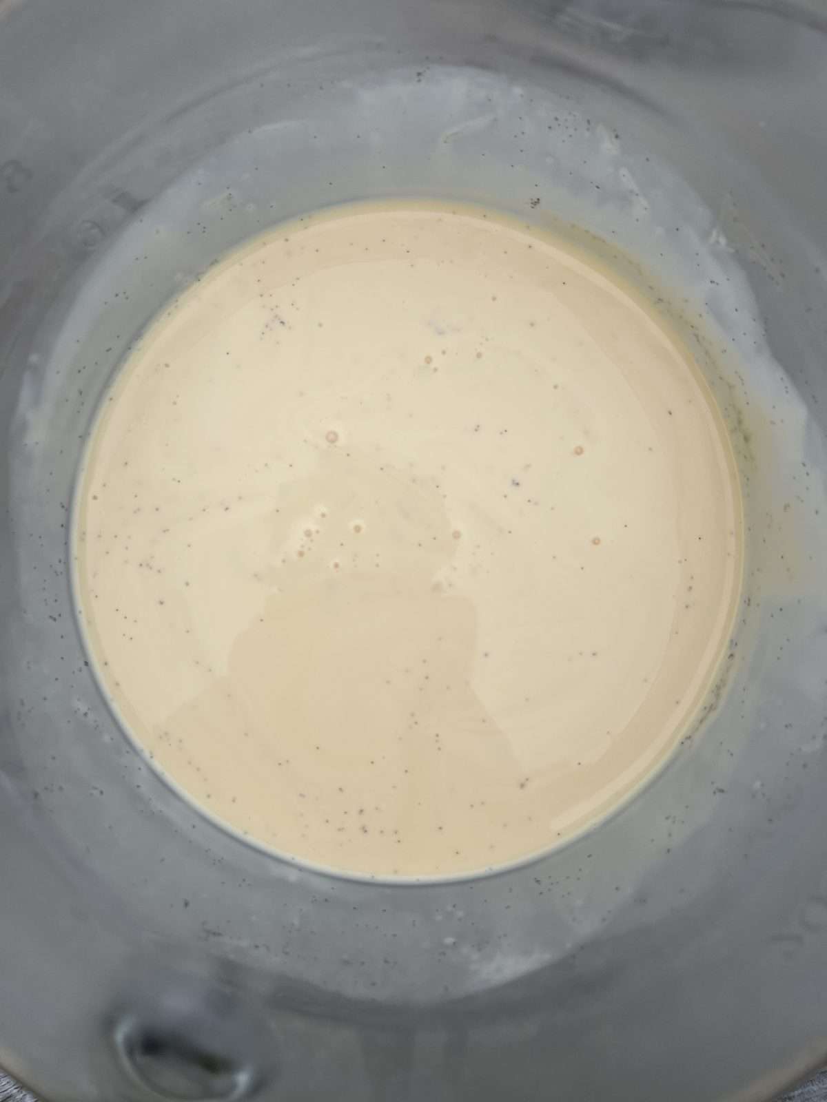 toasted milk & vanilla custard