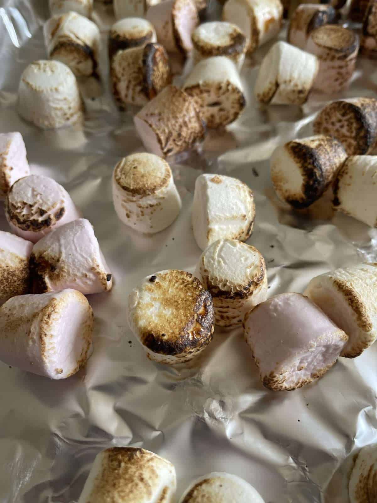 torched marshmallows