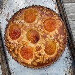 apricot & almond frangipane tart