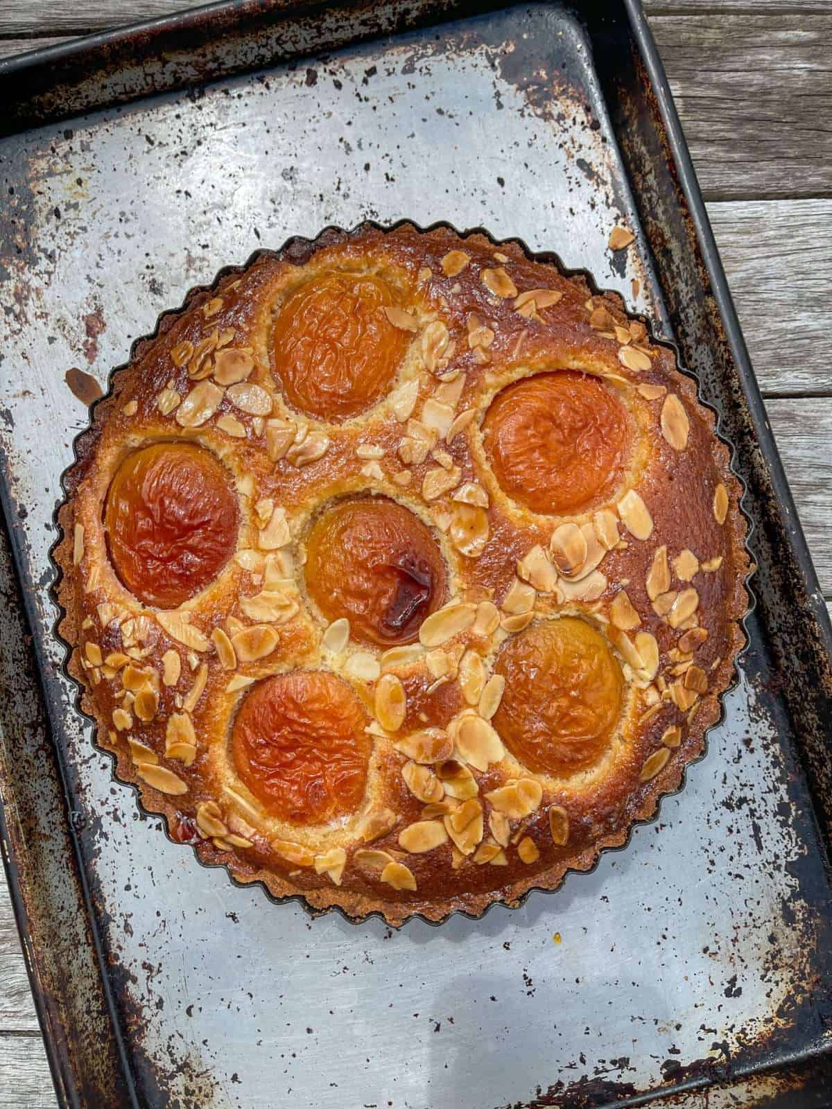 apricot & almond frangipane tart