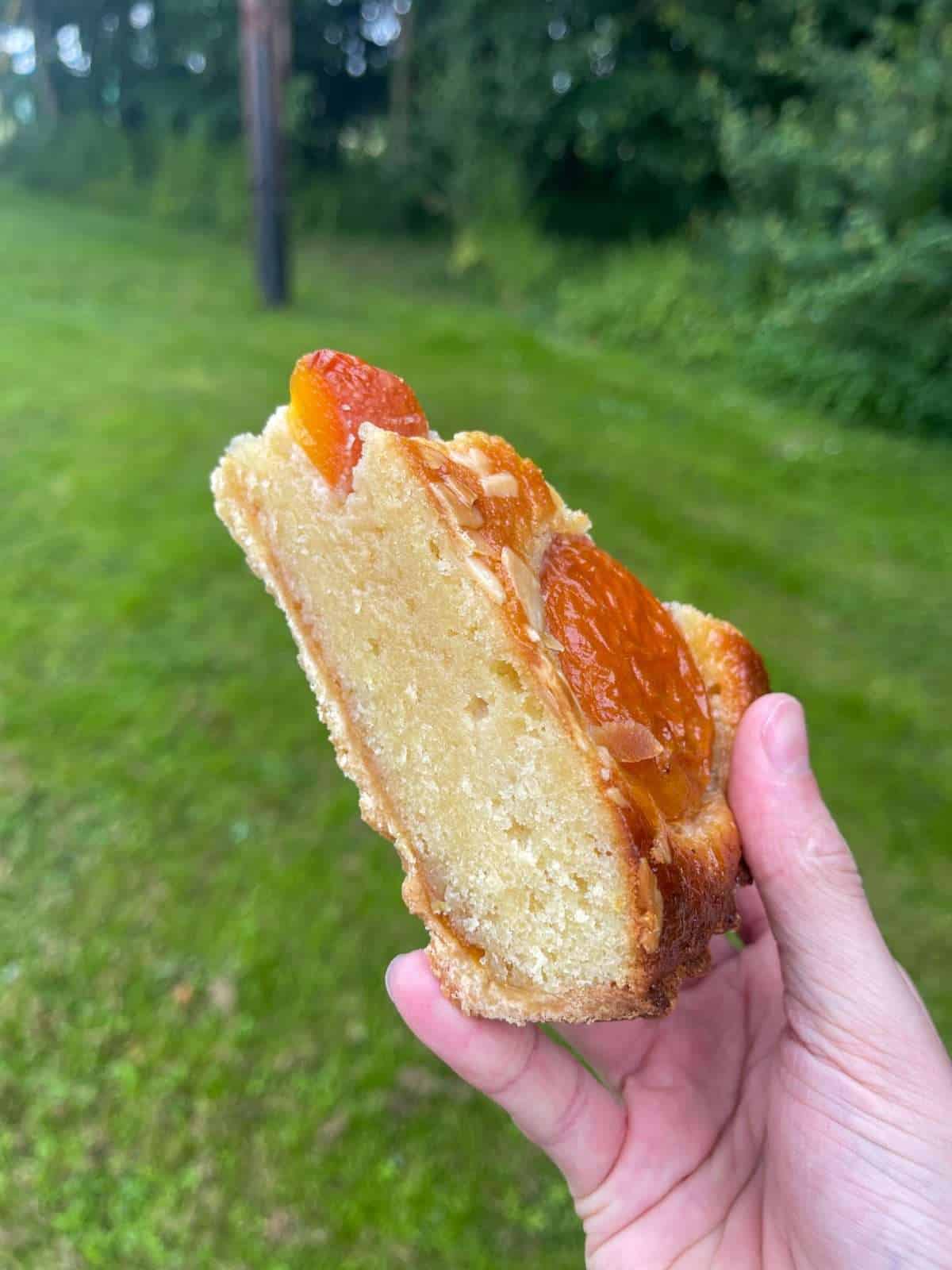 baked tart filling