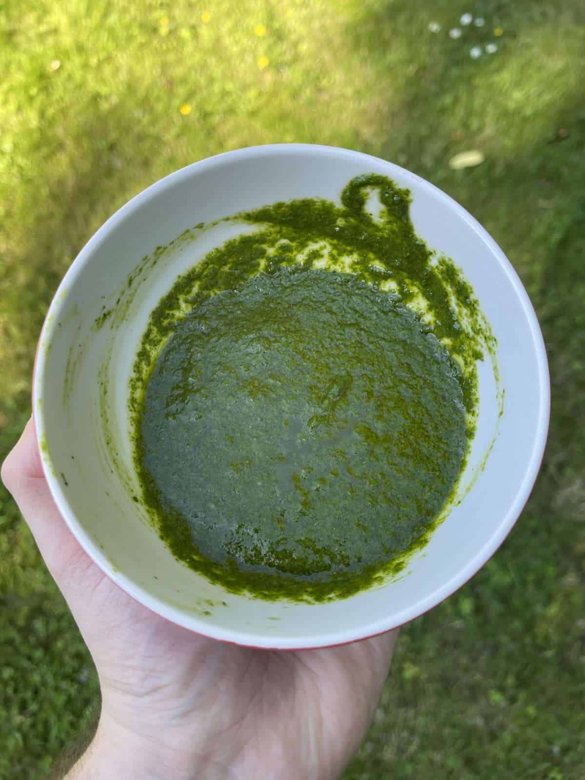homemade chermoula sauce