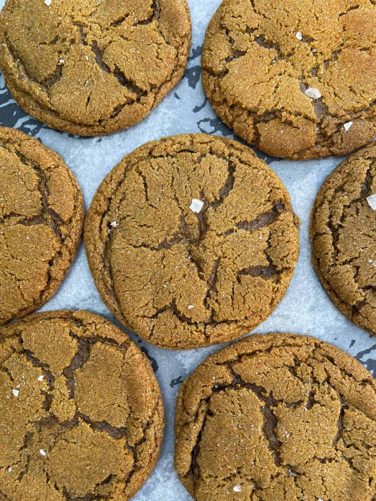 chewy ginger molasses cookies