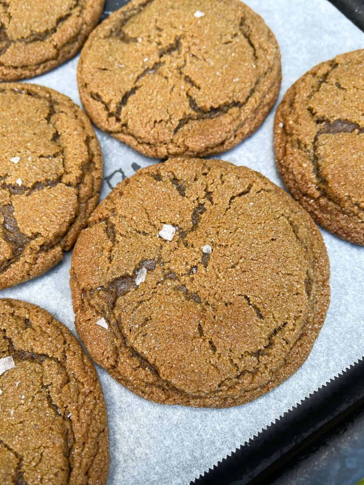 ginger molasses cookie