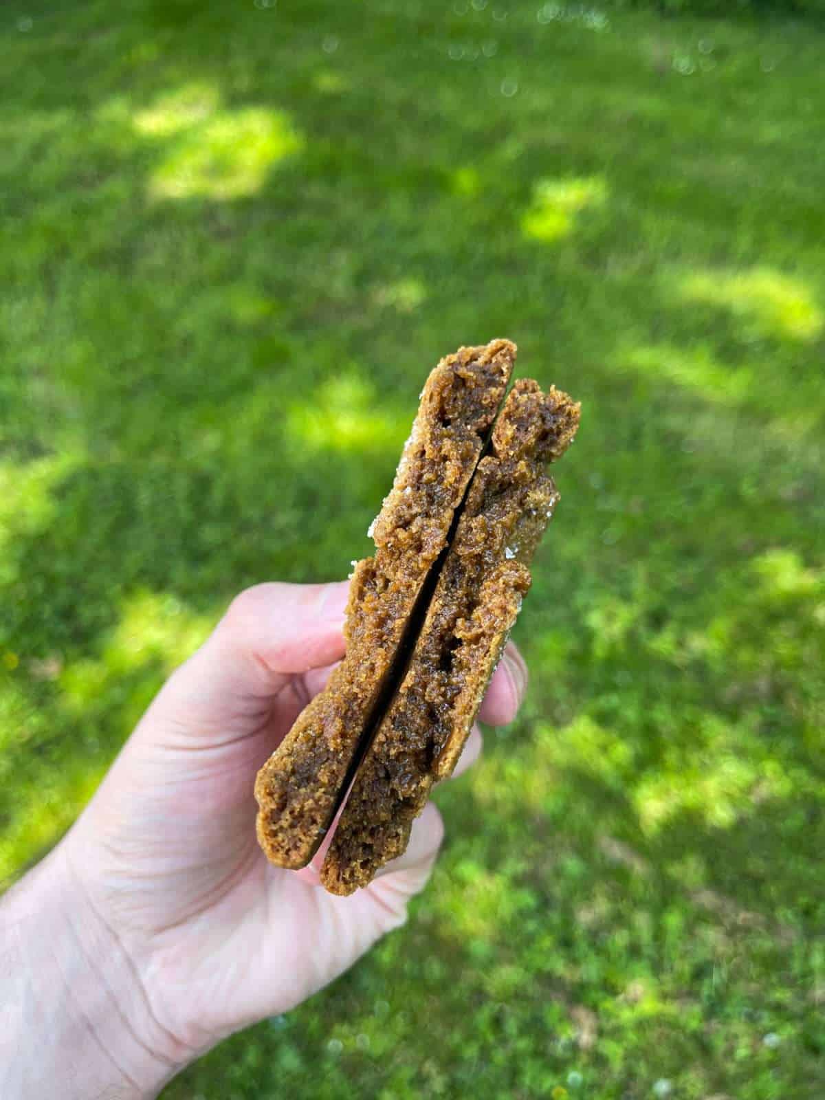ginger cookie inside