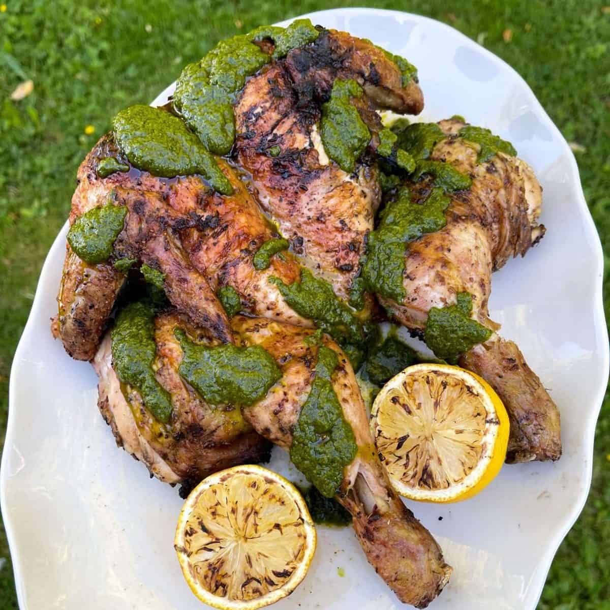 grilled spatchcock chicken with chermoula sauce