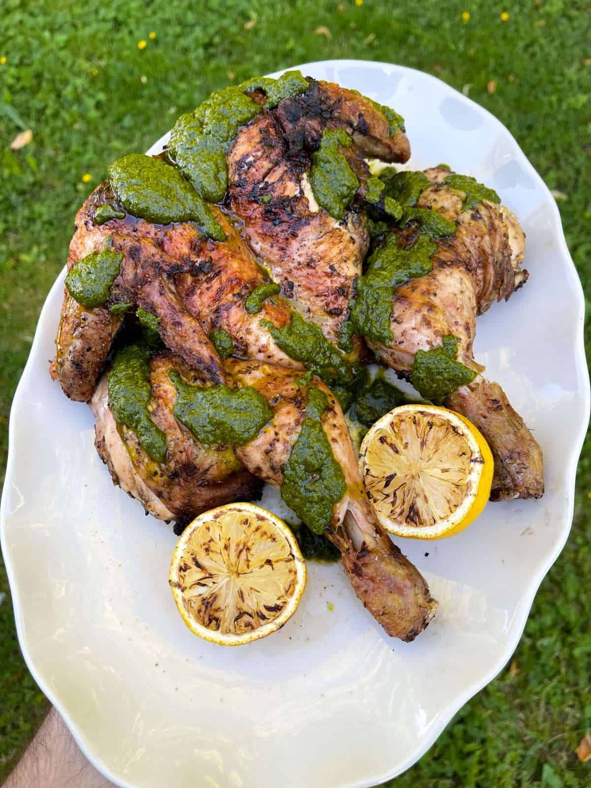 grilled spatchcock chicken with chermoula sauce